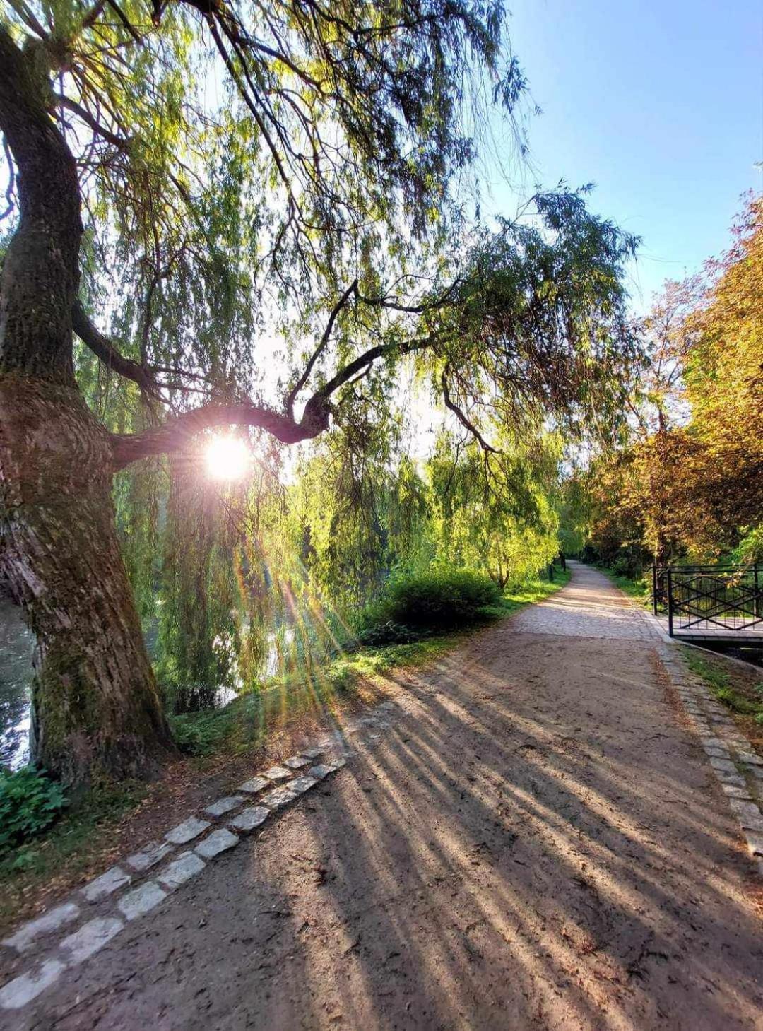 Retro Faktura Vat * Koszalin